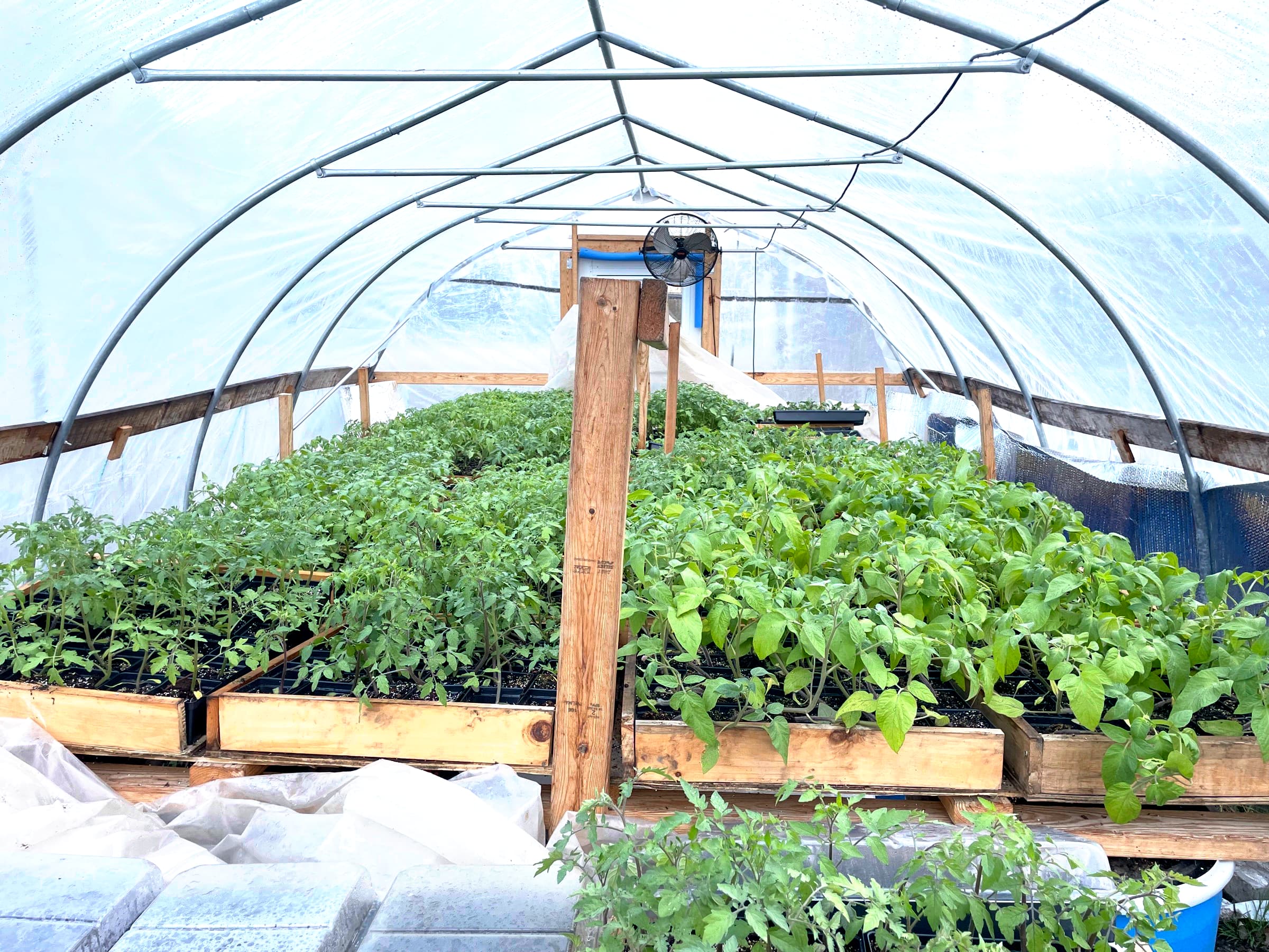 Farm