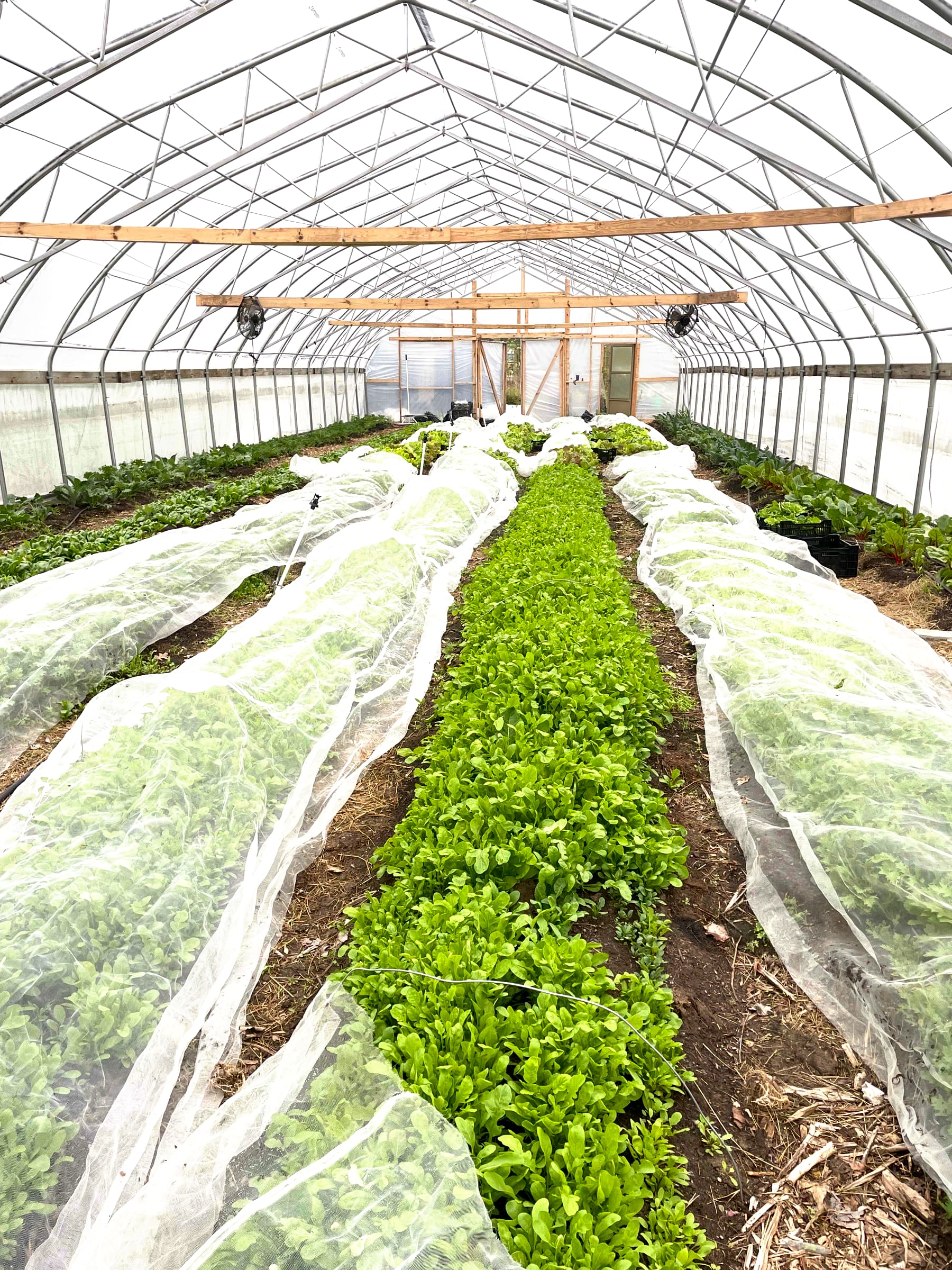 Farm
