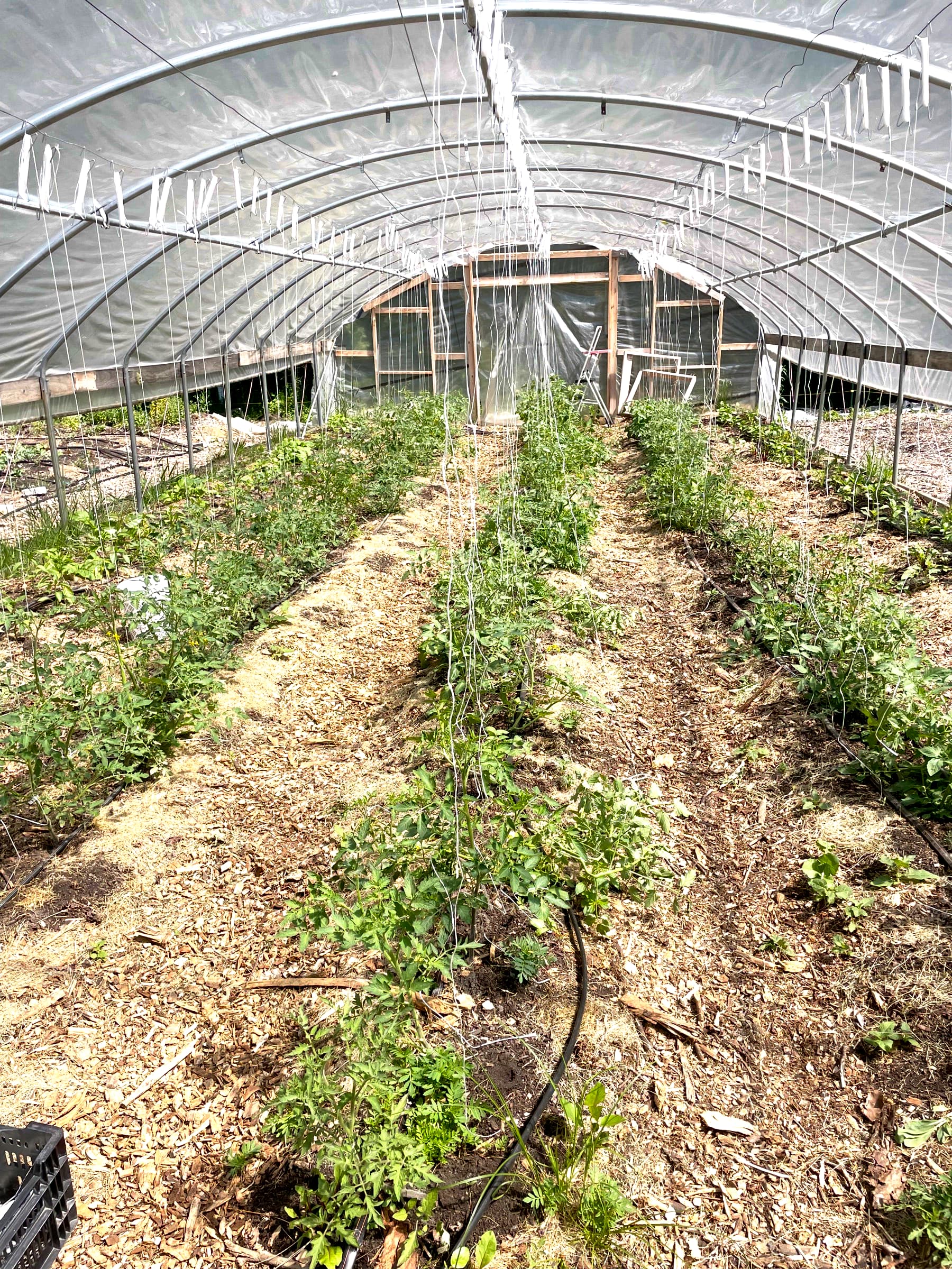 Farm